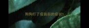 狗狗打了疫苗后的症状