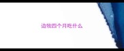 边牧四个月吃什么