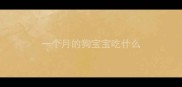 一个月的狗宝宝吃什么
