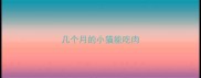 几个月的小猫能吃肉
