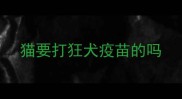 猫要打狂犬疫苗的吗