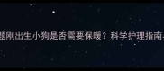 核心问题刚出生小狗是否需要保暖科学护理指南与误区