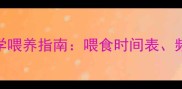 拉布拉多幼犬科学喂养指南喂食时间表频率与营养搭配全