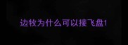边牧为什么可以接飞盘