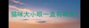 猫咪大小眼一直有眼屎