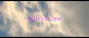 训练哈士奇上厕所