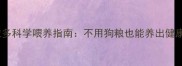 拉布拉多科学喂养指南不用狗粮也能养出健康皮毛