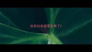 拉布拉多感冒正常了