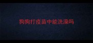狗狗打疫苗中能洗澡吗
