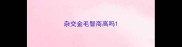 杂交金毛智商高吗