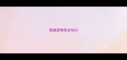 傲雄宠物美容培训