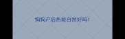 狗狗产后热能自然好吗
