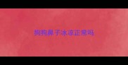 狗狗鼻子冰凉正常吗