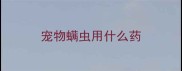 宠物螨虫用什么药
