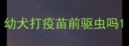 幼犬打疫苗前驱虫吗