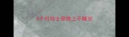5个月哈士奇晚上不睡觉