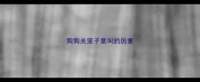 狗狗关笼子里叫的厉害