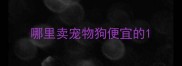 哪里卖宠物狗便宜的