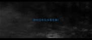 德牧拉布拉多喜乐蒂
