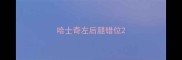 哈士奇左后腿错位