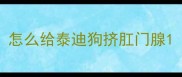 怎么给泰迪狗挤肛门腺