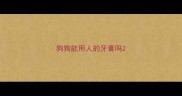 狗狗能用人的牙膏吗