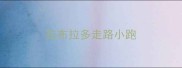 拉布拉多走路小跑