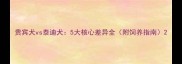贵宾犬vs泰迪犬5大核心差异全附饲养指南