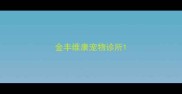 金丰维康宠物诊所