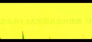 猫咪突然嗜睡怎么办5大原因及应对措施附兽医建议