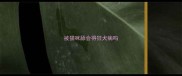 被猫咪舔会得狂犬病吗
