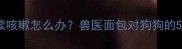 小狗吃完面包后持续咳嗽怎么办兽医面包对狗狗的5大危害及急救指南