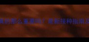 狗狗疫苗本真的那么重要吗最新接种指南及注意事项全