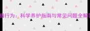 幼猫行为科学养护指南与常见问题全解答