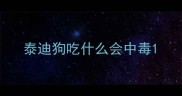 泰迪狗吃什么会中毒