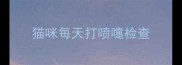 猫咪每天打喷嚏检查