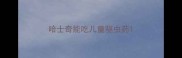 哈士奇能吃儿童驱虫药