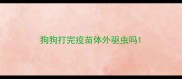 狗狗打完疫苗体外驱虫吗