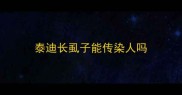 泰迪长虱子能传染人吗