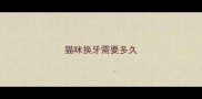 猫咪换牙需要多久