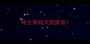 哈士奇幼犬到家后