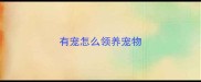 有宠怎么领养宠物