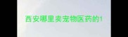 西安哪里卖宠物医药的