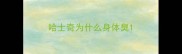 哈士奇为什么身体臭