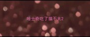 哈士奇吃了猫不太