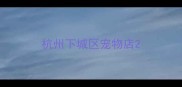 杭州下城区宠物店