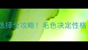 边境牧羊犬幼崽花色选择全攻略毛色决定性格新手必看避坑指南