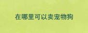 在哪里可以卖宠物狗