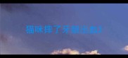 猫咪摔了牙龈出血