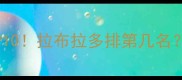 最火犬种TOP10拉布拉多排第几名附养护攻略